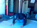 b-boys NDP