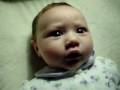 videos de 100 0532