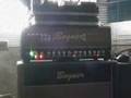 bogner ecstasy