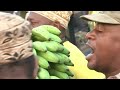 G8 Africa food security