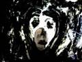 Susan Acid "Humbledrome"