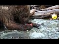 See Video