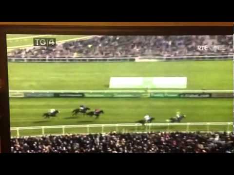 cheltenham tips