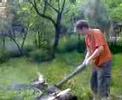Woodcutter Woodcutter