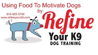 Using Food To Motivate Dogs - San Fernando Valley - Los Angeles - Refine Your K9 - Dog Training