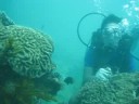 Diving in Bali 5