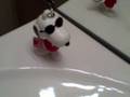Snoopy Chronicles