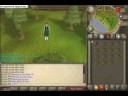 Runescape Skiller
