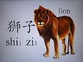 china bear