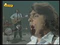 Manzanita - Paloma blanca
