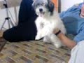 zeytin & peynir
