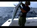 outer banks fishing offshore