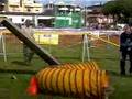 videos de Nadila dei Fiocchi Rossi Agility 3  Latina 9/3/2008