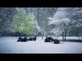 Honors English Crazay Video and Lyrics