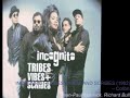 INCOGNITO / TRIBES, VIBES + SCRIBES - Colibri (1992)