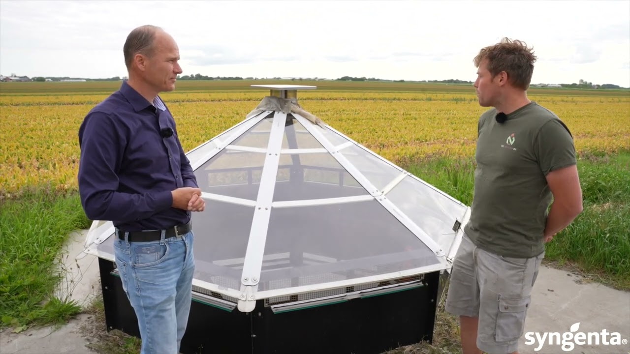 Erf | ervaringen op het bedrijf Syngenta