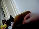 Playing with my cat Felix Playing with my cat Felix
