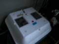 Incubator