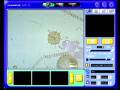 videos de 125 - Phytoplankton