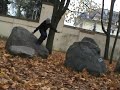 Paulius Daukšas - Dancing with environment