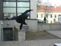 Paulius Daukšas - Dancing with environment