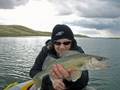 videos de Harvest Moon Walleye