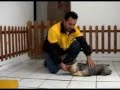 Zago Adestramento - Comandos \"deita\" e \"fica\" Zago Adestramento - Comandos \"deita\" e \"fica\"