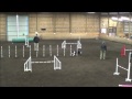 Dazzle Agility Trial