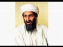 Sadam bush e Osama os verdadeiros geremias