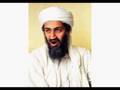Sadam bush e Osama os verdadeiros geremias