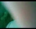 Iditas - o come�o
