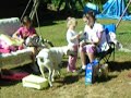 DSCN2944 DSCN2944