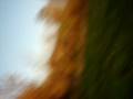 videos de Blowing grass