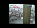 NDS Lego Indiana Jones: weird glitches NDS Lego Indiana Jones: weird glitches
