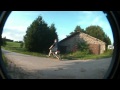 View Video