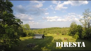 ✔ Diresta Mows the Lawn