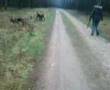 aicha i demon spacerniak 2