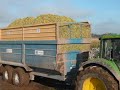 Maize silage harvest Maize silage harvest