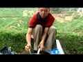 Fried Yellow Noodles/Fried Noodles
