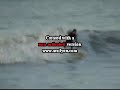 videos Surf