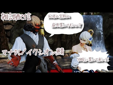動画