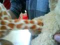 nilpferd, hund, zebra 'nd co @ mittagstisch3