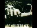 children of bodom - in your face
