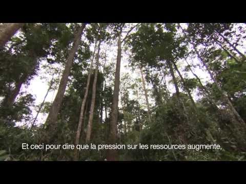 Image de prévisualisation YouTube