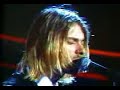 Nirvana - Pennyroyal Tea - NPA Live