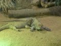 Jersey Zoo 8