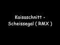 Kaisaschnitt - Scheissegal ( RMX ) Kaisaschnitt - Scheissegal ( RMX )