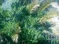 Driving to Larache.......(Tangier-Assilah-Larache)