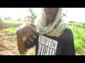 clip video Manu Dibango Abidjan City