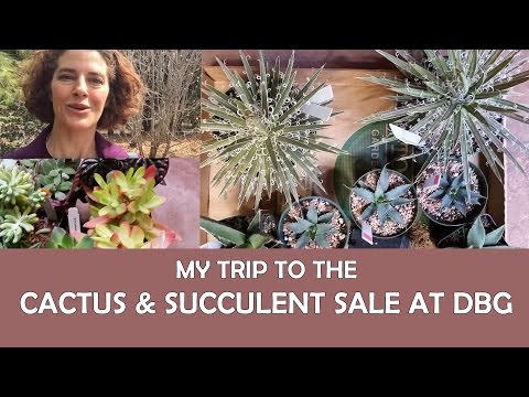 My Trip to the Cactus and Succulent Sale at DBG